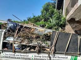 Best Shed Removal  in Croswell, MI